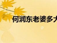 何润东老婆多大年龄了（何润东老婆）