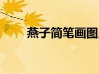 燕子简笔画图片大全（燕子简笔画）