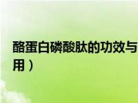 酪蛋白磷酸肽的功效与作用视频（酪蛋白磷酸肽的功效与作用）