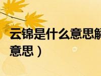 云锦是什么意思解释词语怎么写（云锦是什么意思）