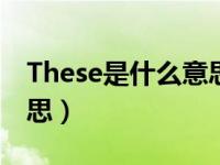 These是什么意思翻译中文（these是什么意思）