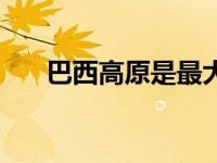 巴西高原是最大的高原吗（巴西高原）