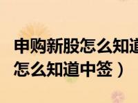申购新股怎么知道中了还是没中（新股申购后怎么知道中签）