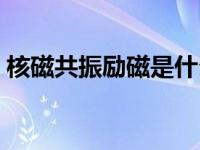 核磁共振励磁是什么意思（励磁是什么意思）