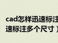 cad怎样迅速标注多个尺寸图纸（CAD怎样迅速标注多个尺寸）