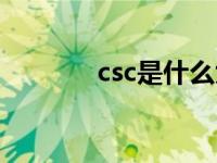 csc是什么大学（csc是什么）
