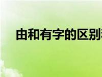 由和有字的区别和造句（由和有的区别）