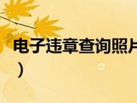 电子违章查询照片怎么拍（电子违章查询照片）