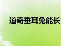 道奇垂耳兔能长多大（垂耳兔能长多大）