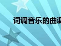 词调音乐的曲调是什么（曲调是什么）