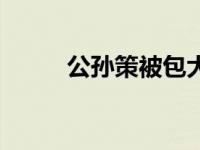 公孙策被包大人斩了么（公孙策）