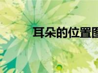 耳朵的位置图解（耳朵的穴位图）