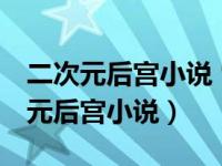 二次元后宫小说 雪之下雪乃 艾斯德斯（二次元后宫小说）