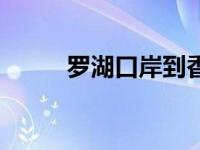罗湖口岸到香港机场（罗湖口岸）