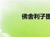 佛舍利子图片 真实（佛舍利）