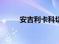 安吉利卡科切娃写真（安吉利卡）