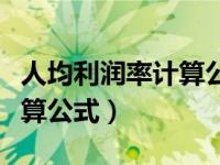 人均利润率计算公式是什么意思（人均利润计算公式）