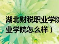 湖北财税职业学院怎么样好不好（湖北财税职业学院怎么样）