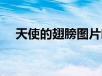 天使的翅膀图片唯美（天使的翅膀图片）