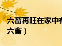 六畜再旺在家中有钱无米能过冬是什么生肖（六畜）