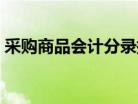 采购商品会计分录摘要（采购商品会计分录）