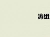 涛组词（绦组词）