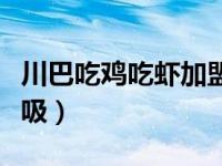 川巴吃鸡吃虾加盟费多少钱（虾类依靠什么呼吸）