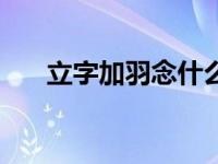 立字加羽念什么字（立加羽是什么字）