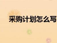 采购计划怎么写PPT（采购计划怎么写）