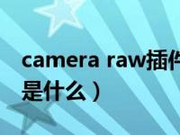 camera raw插件百度云（camera raw插件是什么）