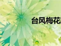台风梅花路径（台风梅花）