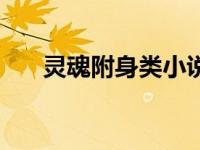 灵魂附身类小说（灵魂附身美女小说）