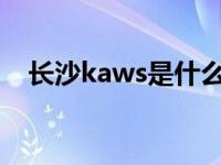 长沙kaws是什么意思（aws是什么意思）