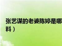 张艺谋的老婆陈婷是哪一年出生的（张艺谋老婆陈婷个人资料）