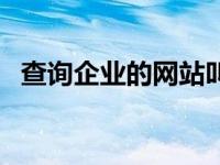 查询企业的网站叫什么（查询企业的网站）