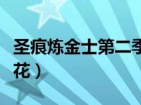 圣痕炼金士第二季樱花（圣痕炼金士第三季樱花）