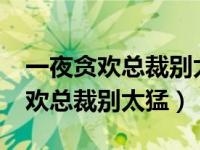 一夜贪欢总裁别太猛下载txt电子书（一夜贪欢总裁别太猛）
