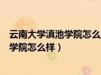 云南大学滇池学院怎么样有资格申请奖学金（云南大学滇池学院怎么样）