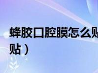 蜂胶口腔膜怎么贴视频教程（蜂胶口腔膜怎么贴）