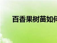 百香果树苗如何种植方法（百香果树）