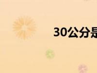 30公分是多少厘米（30）