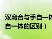 双离合与手自一体的区别在哪里（双离合与手自一体的区别）
