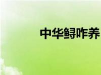 中华鲟咋养（中华鲟该怎么养）
