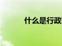 什么是行政国家（行政国简介）