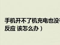 手机开不了机充电也没有反应（手机开不了机 而且充电也没反应 该怎么办）