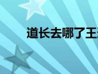 道长去哪了王道长是谁（道长去哪）