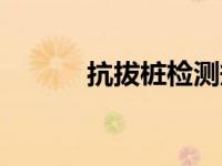 抗拔桩检测规范要求（抗拔桩）