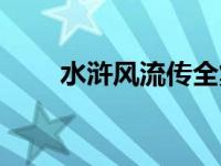 水浒风流传全集下载（水浒风流传）