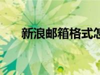 新浪邮箱格式怎么写（新浪邮箱格式）