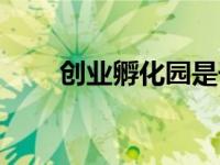 创业孵化园是干什么的（创业孵化）